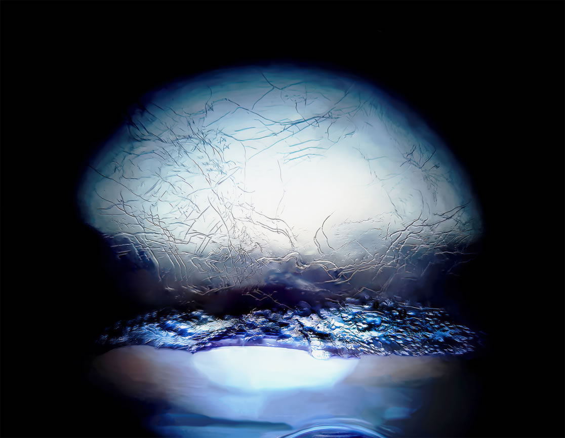 A microphotograph of both canine and human DNA with digital fragments signifying cyborg theory