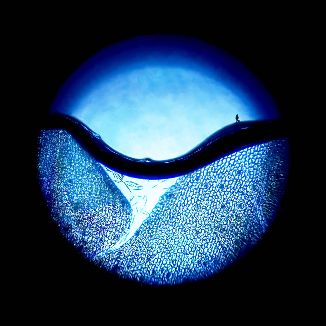 Human and canine overlay on microscopic image, signifies a posthuman awakening as opposed to a humanism