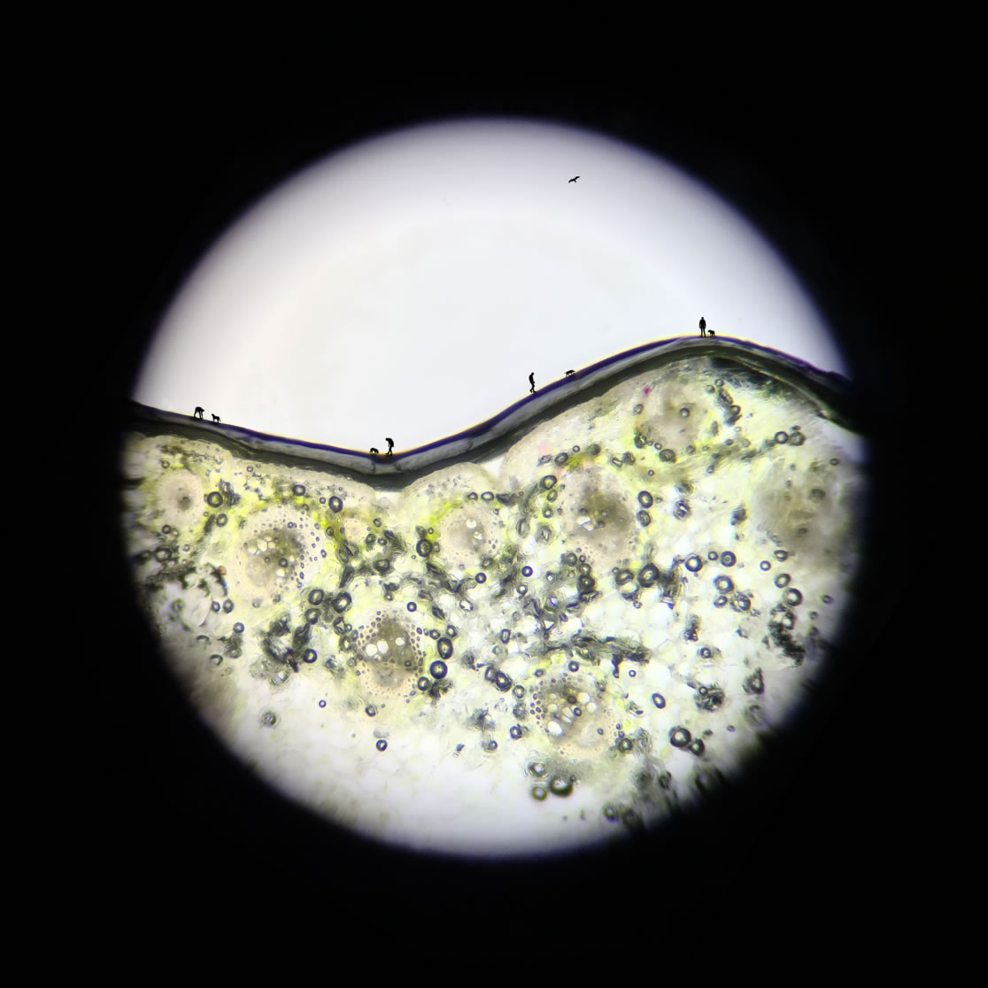 With the accumulation of knowledge comes a wider point of view - canine and human in the field sharing and being without mainstream expectations